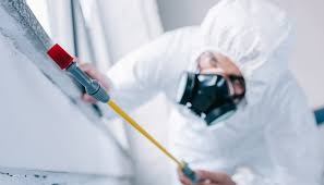 Best Real Estate Pest Inspections  in Pocahontas, AR